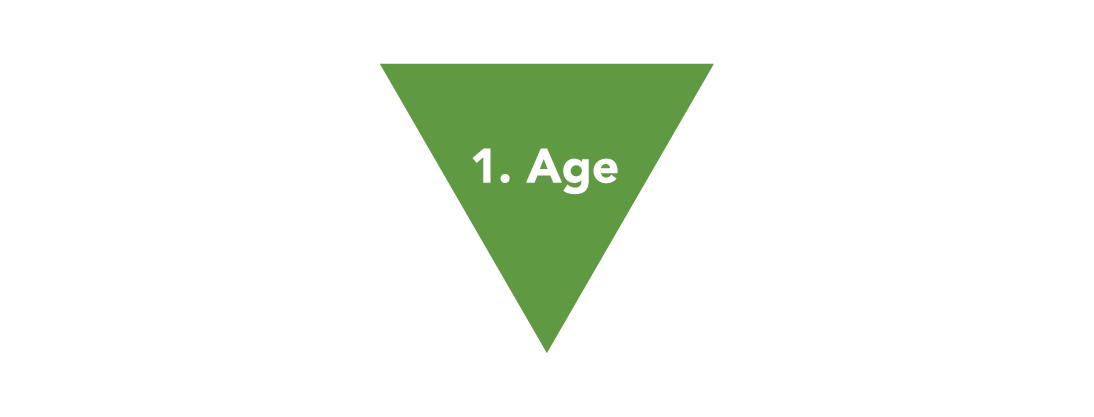 1. Age Verification